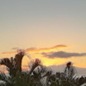 Meet your Posher, Anita